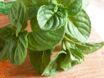 La menta per il pesto