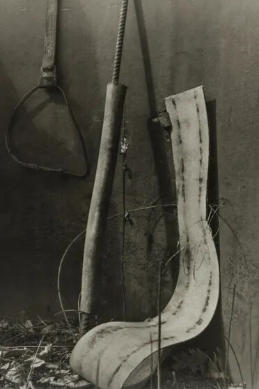 Raymond Meeks, Cranesville 4958 (detail), 2026. Courtesy of Casemore Gallery