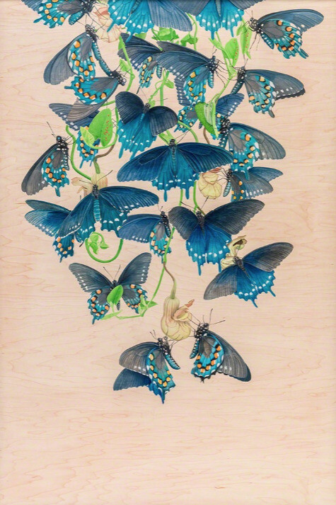 Spectrum. Courtesy of Joshua Liner Gallery