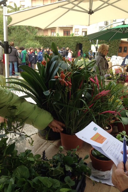 Verdescambio, Livorno