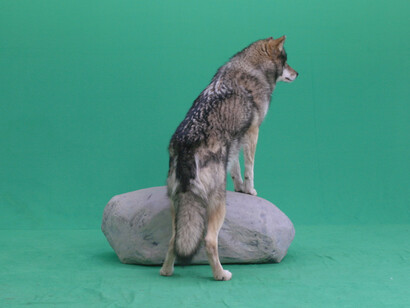 Jonas Brinker
„Standing Still“, 2019
Video Still
© Jonas Brinker 
Courtesy of the artist 
