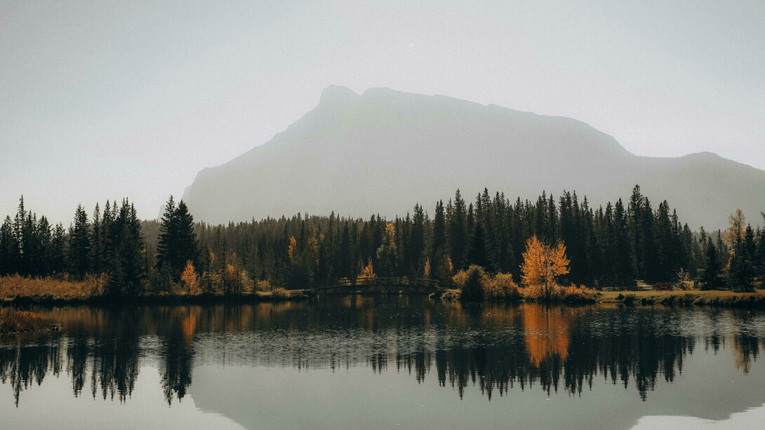 Paesaggio naturale con foschia: "Pensiamo a certi argini di fiumi annebbiati, le assolate dune nel deserto, certe spiagge o montagne prive di persone, che cosa ce li fa piacere tanto? Sicuramente l’immagine, ma -credo- anche l’evocazione del silenzio, la cui assenza lo rende prezioso e desiderato"