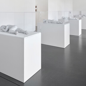 Andrea Fraser, exhibition view. Courtesy of Galerie Nagel Draxler