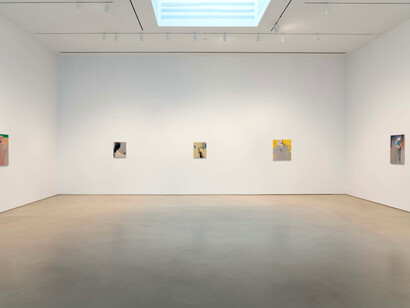 Rezi van Lankveld, Premonitions, exhibition view. Courtesy of Petzel