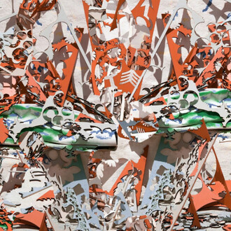 Nico Krijno. Courtesy of Elizabeth Houston Gallery