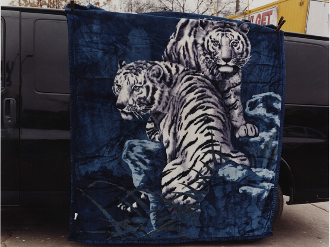 Justine Kurland, Tigers on Cesar Chavez, 2011, Inkjet print, 18 1/2 by 24 in. 47 by 61 cm, Edition 6. Courtesy of the artist and Mitchell-Innes & Nash, NY.
