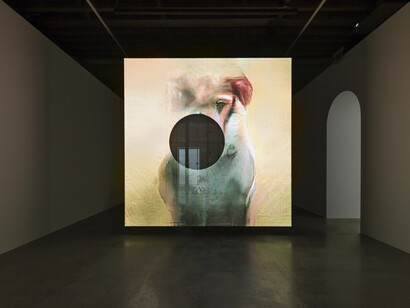 Pierre Huyghe, In imaginal, exhibition view. Courtesy of Marian Goodman Gallery
