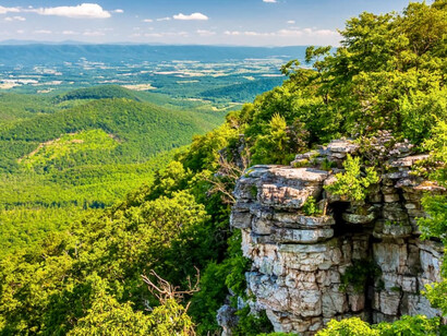 Georgia Washington National Forest, Virginia, USA
