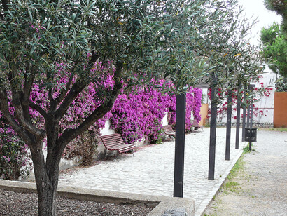 He recorrido Malgrat, donde apenas hay recuerdos de ella. Una calle con su nombre y poco más. Plaza de incisa, Maigrat de Mar, Barcelona, España