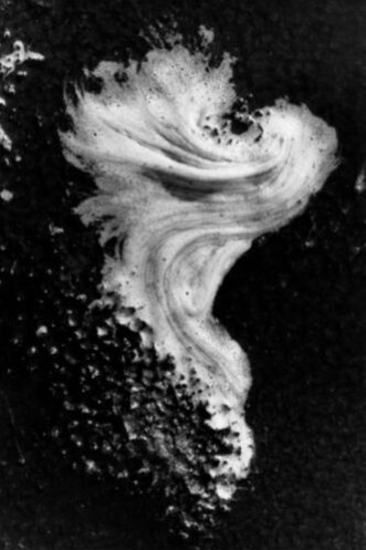 In the Absence of Color. Courtesy of Bernheimer Fine Art