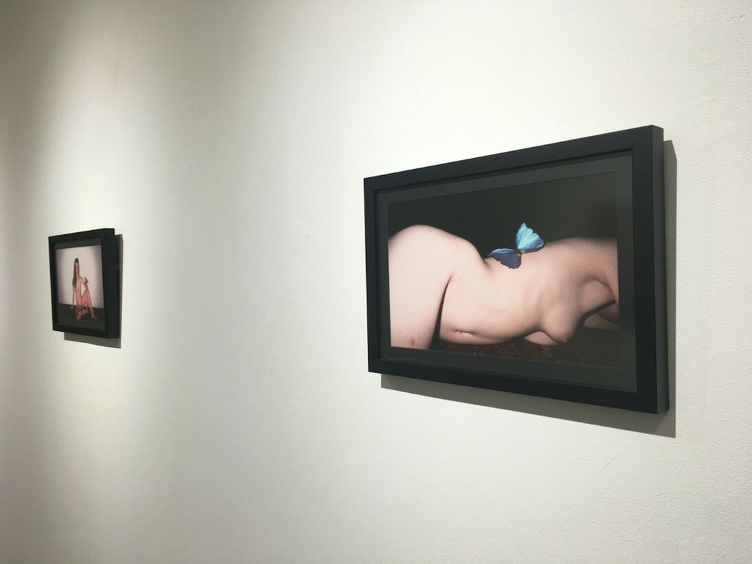 Last Night, Exhbiition view. Courtesy of Castor Gallery