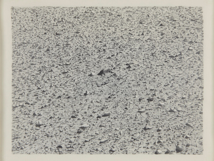 Vija Celmins, Untitled (Regular Desert), 1973
Graphite on acrylic ground on paper, 12 x 15 inches, Art © Vija Celmins