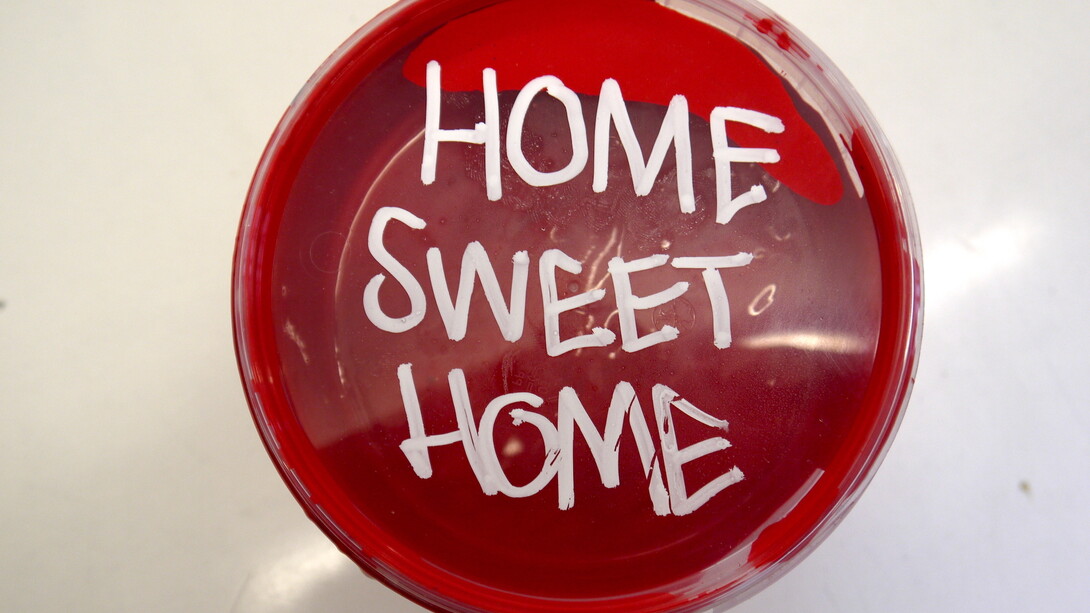 Home Sweet Homeless. Courtesy of Jealous