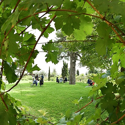 Orto delle Monache del Monte Tabor