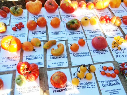 La biodiversità dei pomodori