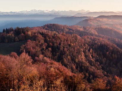 Cada vez que vuelvo al pueblo, lo hago con la misma alegría que lo hacía cuando era bien pequeño y me llega al recuerdo