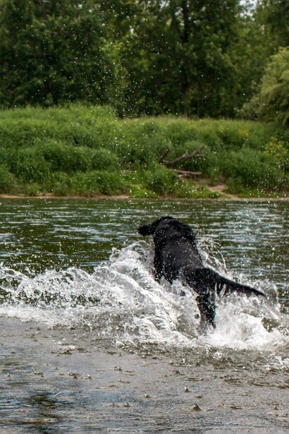 Dancer in the stream