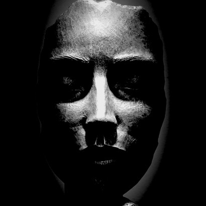 Do Homo sapiens ao cyborg