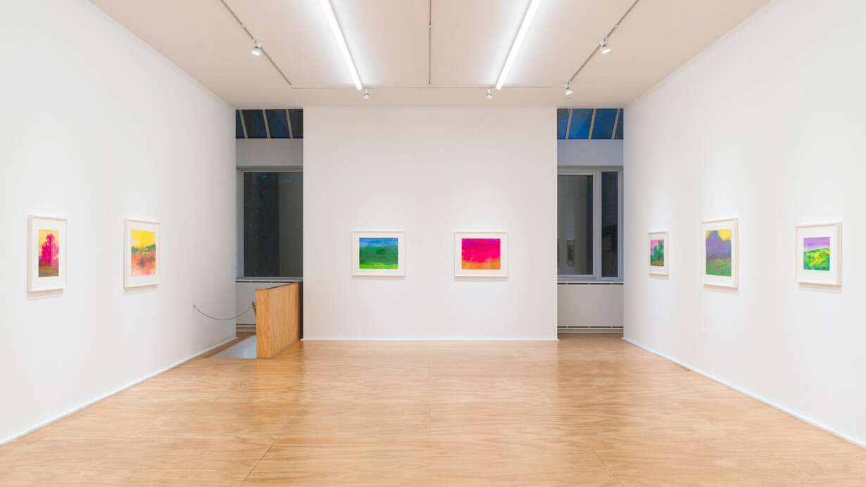 Richard Mayhew, Watercolor, exhibition view. Courtesy of Venus Over Manhattan