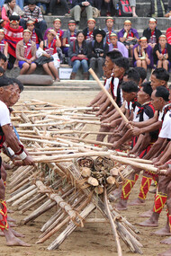 The Hornbill Festival  