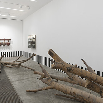 15 artisti per i 15 anni in Cina. Courtesy of Galleria Continua
