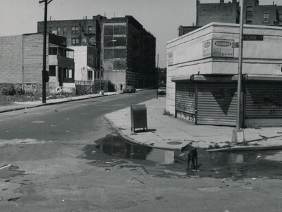 Phill Niblock. Courtesy of Fridman Gallery