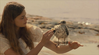 Fotograma de la serie «La verdad sobre el caso Harry Quebert»