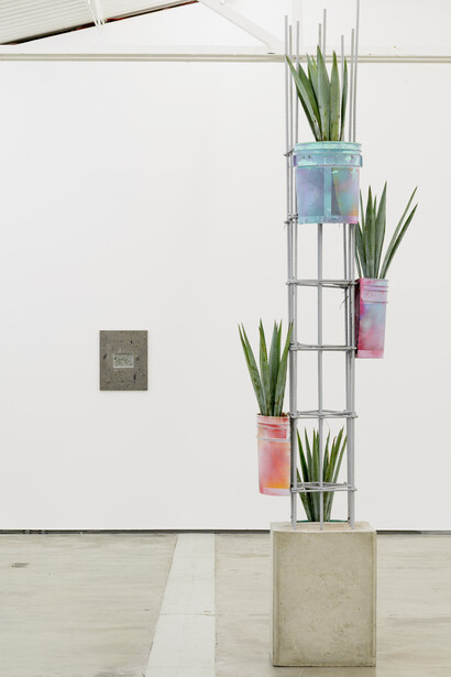 Adrien Missika, Superior Futuro (Agave), 2015. Hormigón, acero, botes de pintura Comex, pintura, madera, sellador, las plantas, el suelo. 116.14 x 35.43 x 35.43 pulgadas