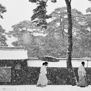 Werner Bischof, Courtyard of the Meiji shrine, Tokyo, Japan, 1951 © Werner Bischof / Magnum Photos