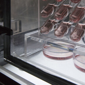 New Molecules & Stem Cell Retinoid Screen. Courtesy of Empty Gallery