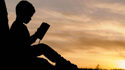 La vida, es decir, esta consciencia de uno mismo al percibir las cosas que suceden, en el cuerpo, en la mente y en lo infinito que hay afuera