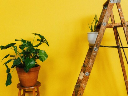 Un nuevo toque al salón