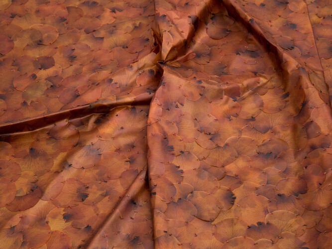 A Flor de Piel (detail), 2014
Rose petals and thread, 1333.5 x 650 cm
D.Daskalopoulos Collection
Installation view: Doris Salcedo, Museum of Contemporary Art Chicago, February 21–May 24, 2015 © Doris Salcedo, Photo: Patrizia Tocci