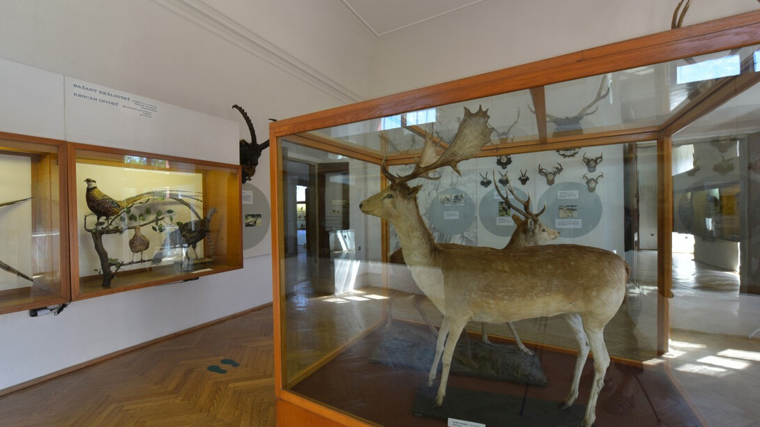 Game Keeping. Courtesy of National Museum of Agriculture