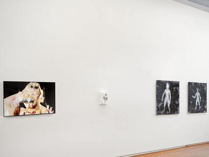Anne de Jong, Ghosts, exhibition view. Courtesy of Upstream Gallery