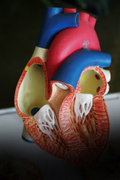 Cuore. Shock cardiogeno: gestione e trattamento nella cardiologia moderna