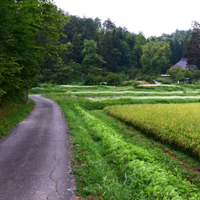 Strada che conduce al tempio di Keitokuji
