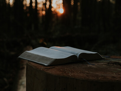 Herramientas para expandir o desenvolver la consciencia