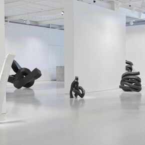 Lee Bae, The form before, exhibition view. Courtesy of Gow Langsford Gallery