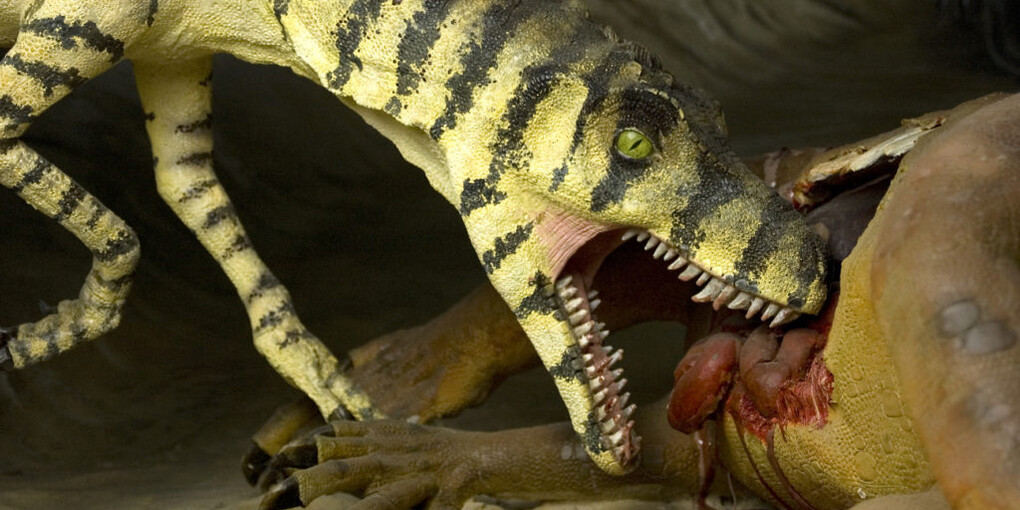 The evolution of Monte Pisano. Courtesy of Museo di Storia Naturale