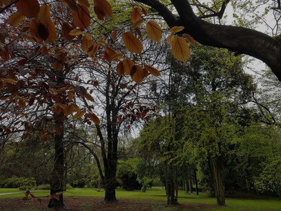 Vista del Parco Sgaravatti oggi dei Faggi in autunno