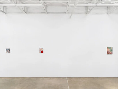 Jesse Zuo, Photosynthesis, exhibition view. Courtesy of Piero Atchugarry Gallery
