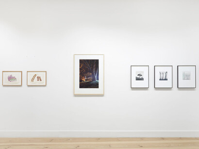 Various artists, Summer gardens. Paintings and photographs of gardens today, exhibition view. Courtesy of Galerie Albrecht 