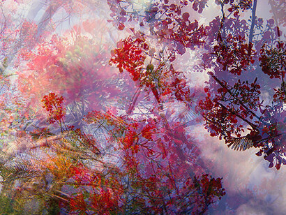 Relational Undercurrents. Courtesy of Delaware Art Museum