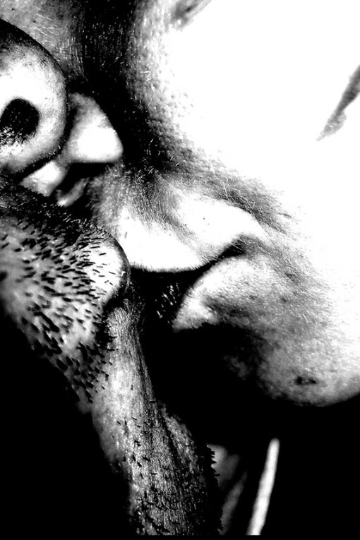 Victor Cobo. Courtesy of ClampArt