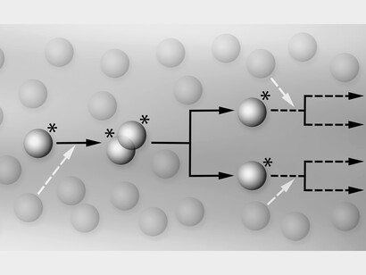 The protocell multiverse. The spontaneous overcrowding yields a vast variety of filled protocells with a combinatorial distribution of solutes, and only a few, or only one – as indicated with an asterisk in the figure – happen to be viable. With fusion and redistribution of the materials (white arrows), more viable cells may be formed, and the reproduction process can go further.