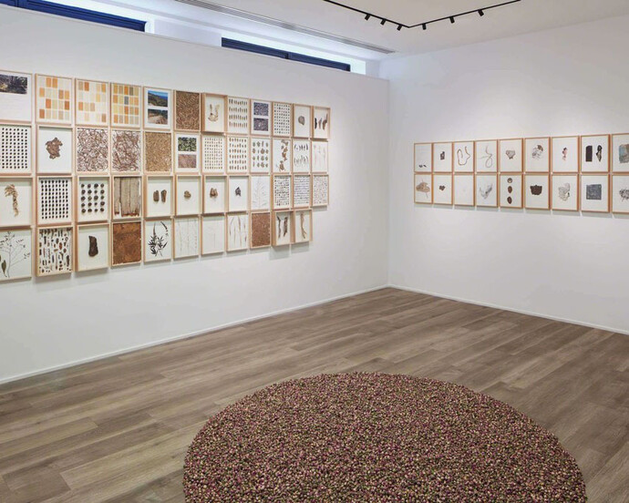 Herman De Vries, Exhibition view. Courtesy of Cortesi Gallery
