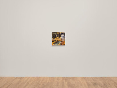 Yuan Yuan, exhibition view. Courtesy of Bortolami