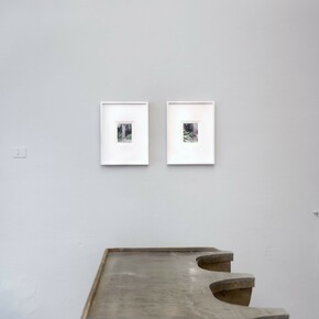 Jacana’s frontal shield or frontal as shields are frontal. Courtesy of The Workbench