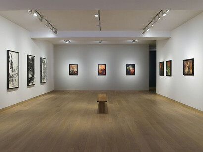 Chu Teh-Chun, Exhibition view. Courtesy of Waddington Custot